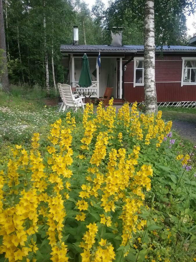 Ilmastoitu Kesaemoekki Askolassa Laehellae Porvoota 外观 照片